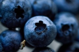 Blueberries